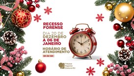 O atendimento ao público ficará disponível, nos dias úteis, de 8h às 12h.